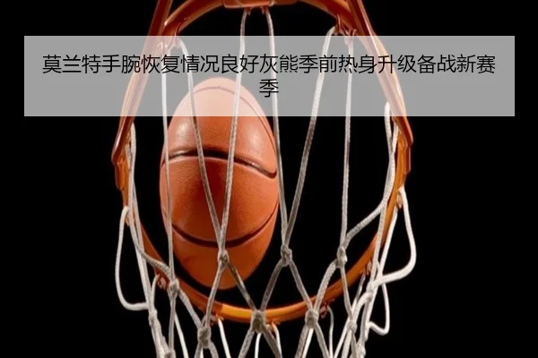 莫兰特手腕恢复情况良好灰熊季前热身升级备战新赛季
